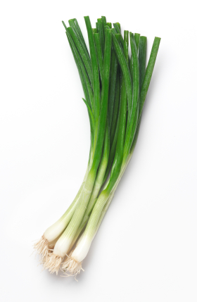 What Are Scallions